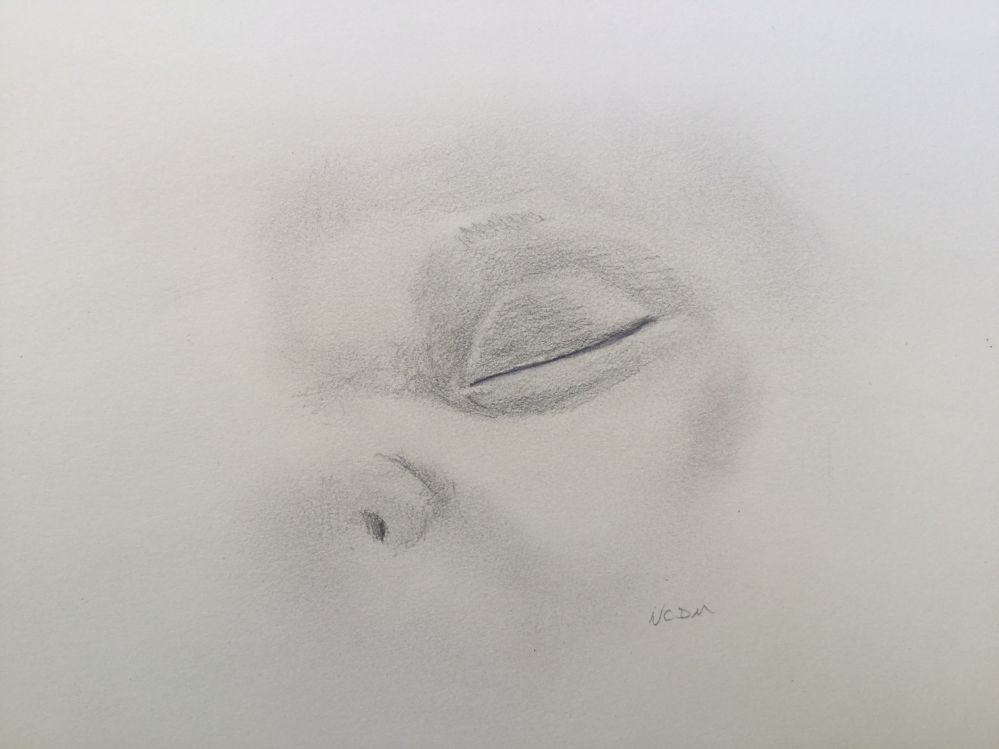 Delicate graphite drawing of a baby's closed eye. The shading at the edges of the eye seem to melt into the paper.