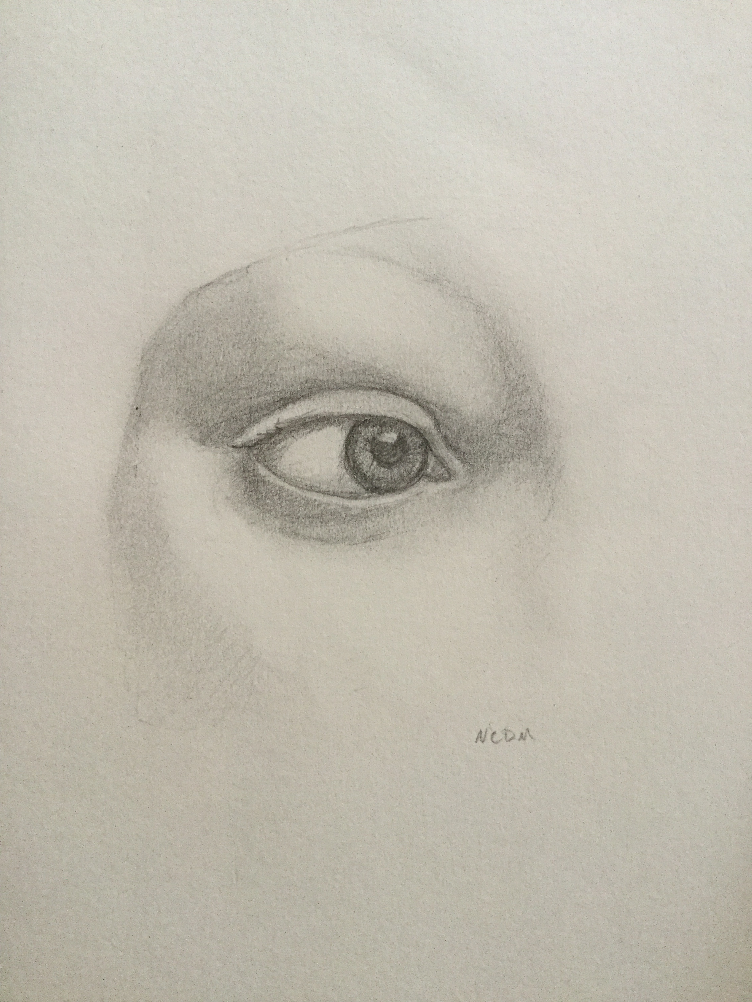 Graphite sketch of the right eye from Da Vinci's "lady with ermine" panting. The eye is looking to the right, while the graphite sketch fades into the paper.