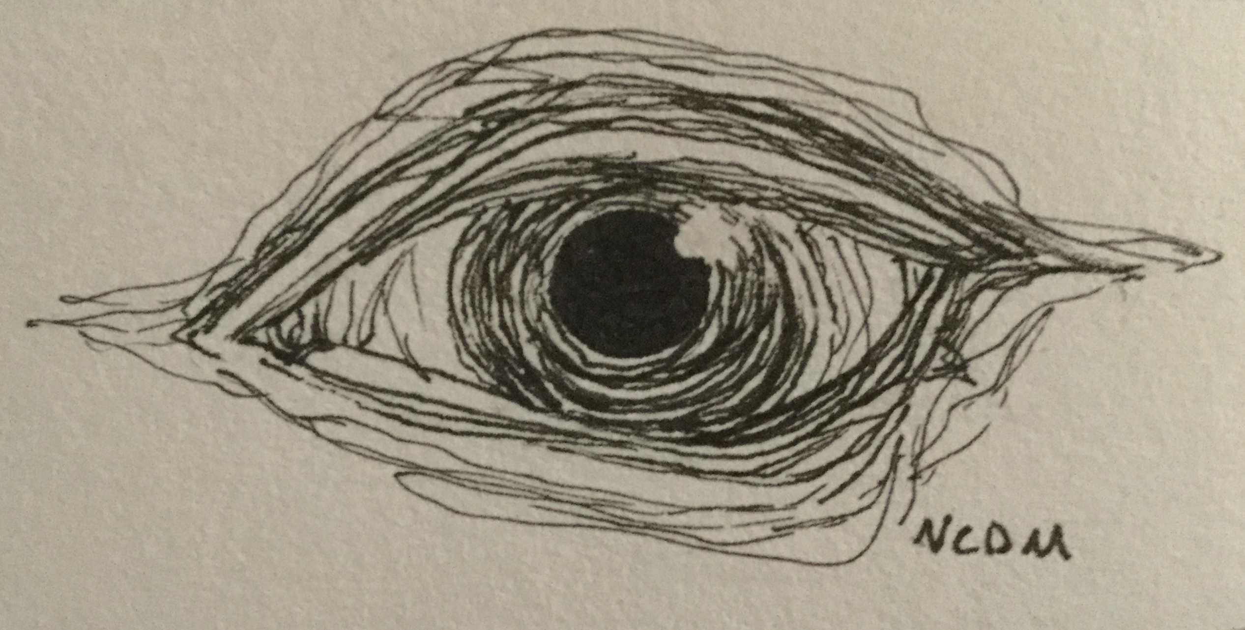 Ink drawing of eye created by what appears to be a single line twisting in on itself.