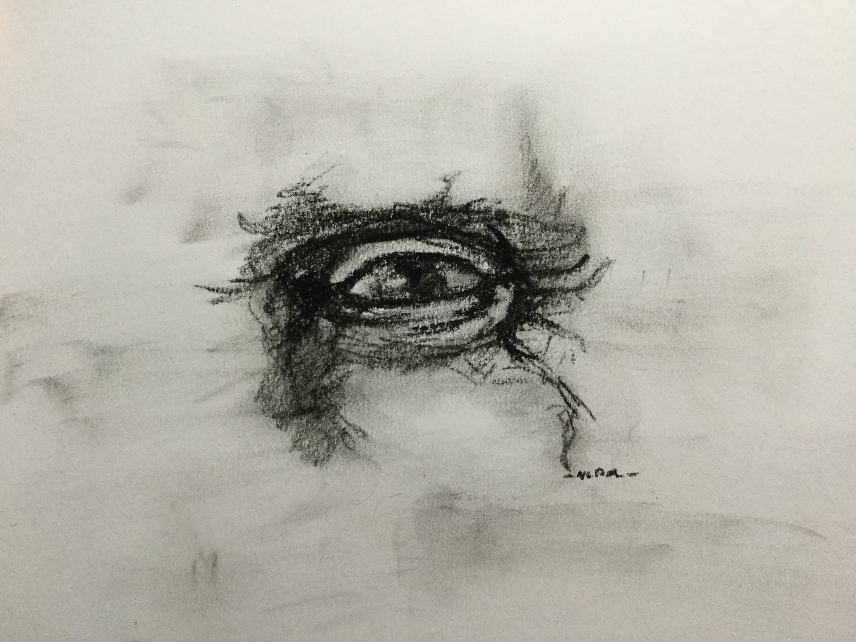 charcoal sketch of an eye.