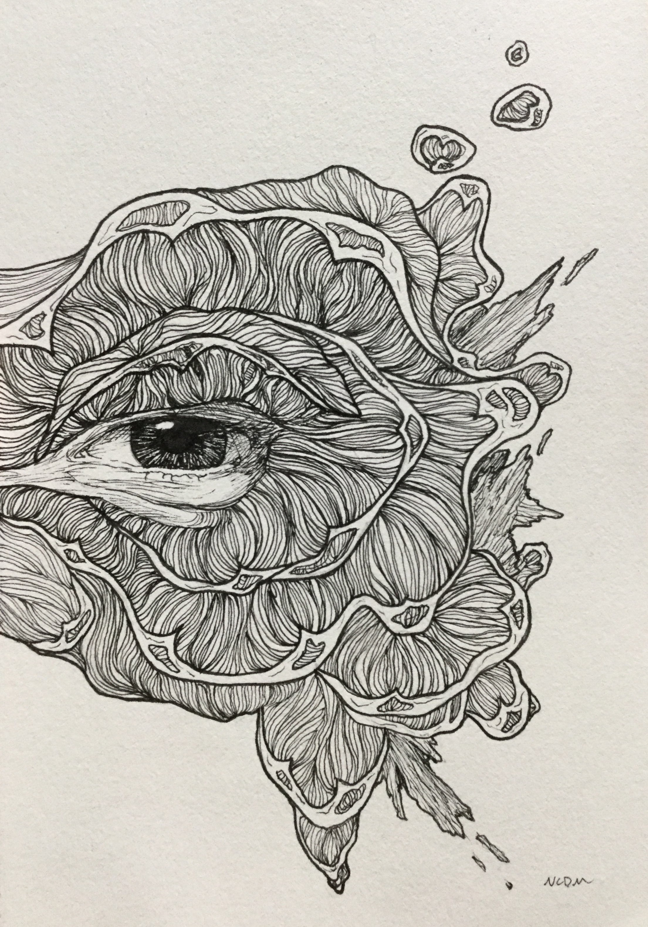 An ink illustration of an eye with organic shapes filled with lines spreading out from it.