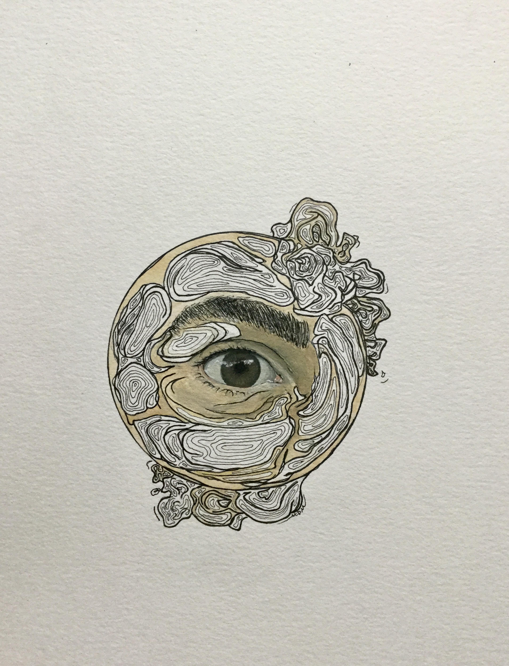 Gouache and ink illustration of an eye, with realistic painting surrounded by inked lines.