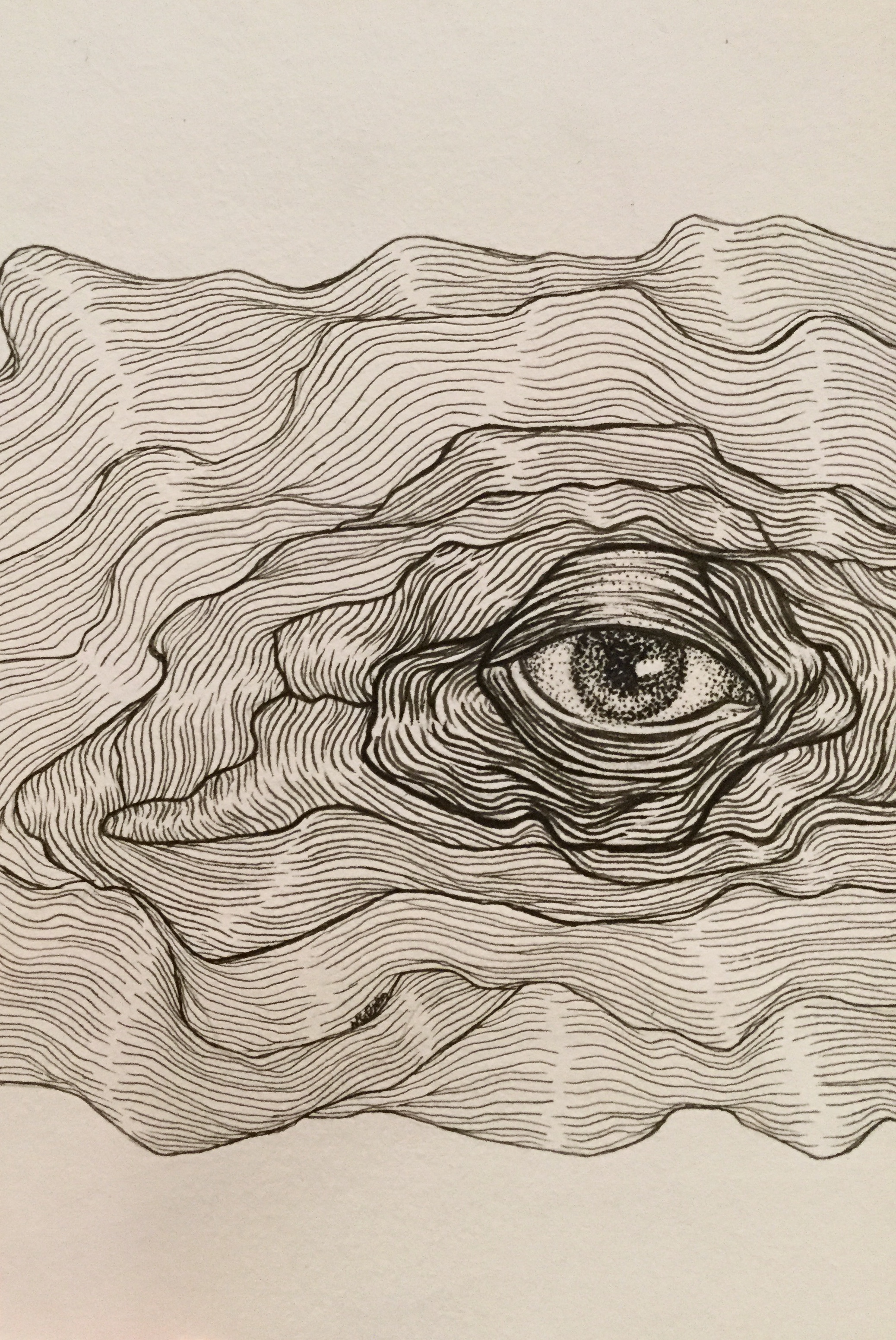 An ink drawing of an eye, the iris and pupil is in pointillism while the outside looks like layers of muscle waving, the lines become thinner the further away they are from the eye.