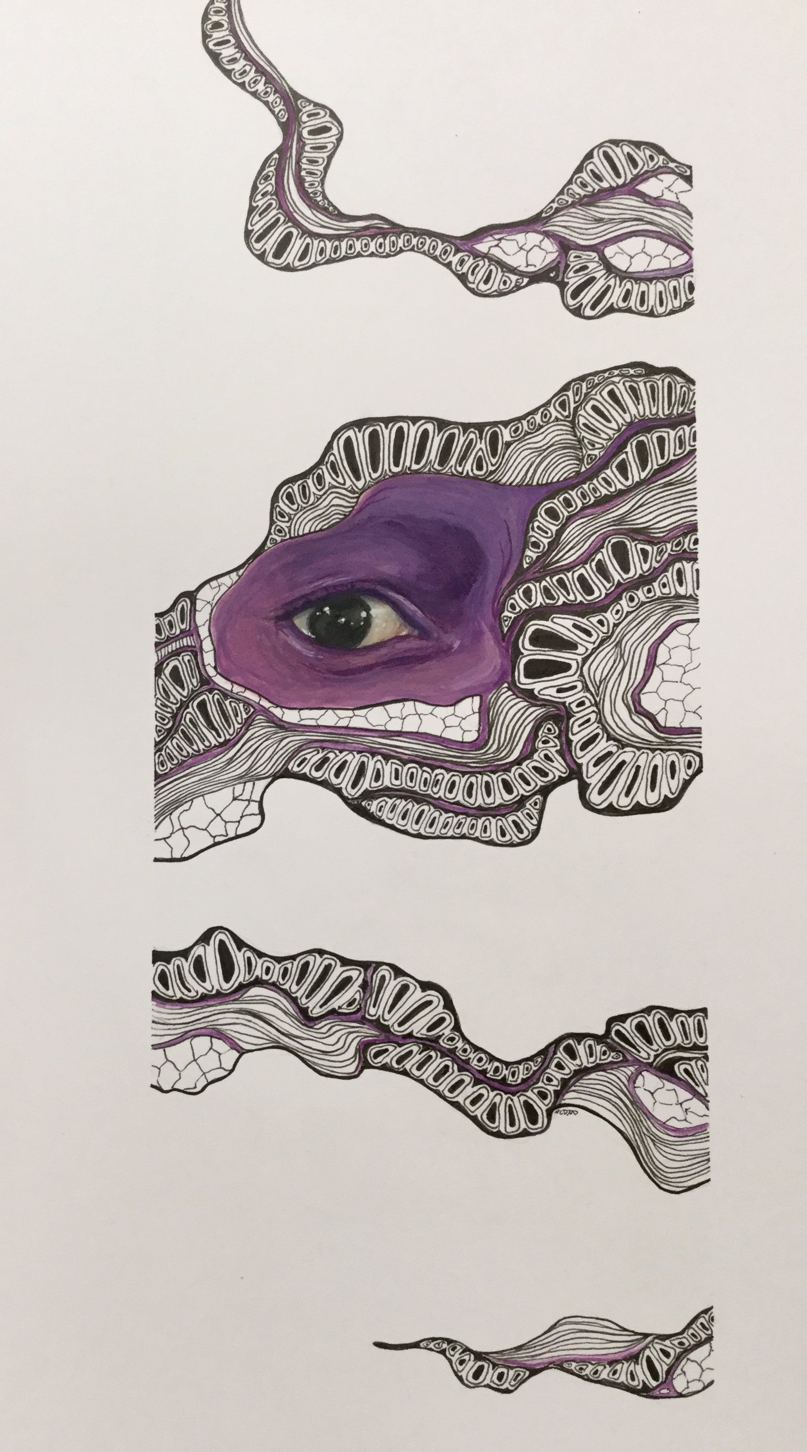 Surreal realistic painting of an eye with the skin in purple. It's woven into a playful pattern spreading across the page drawing in black ink.