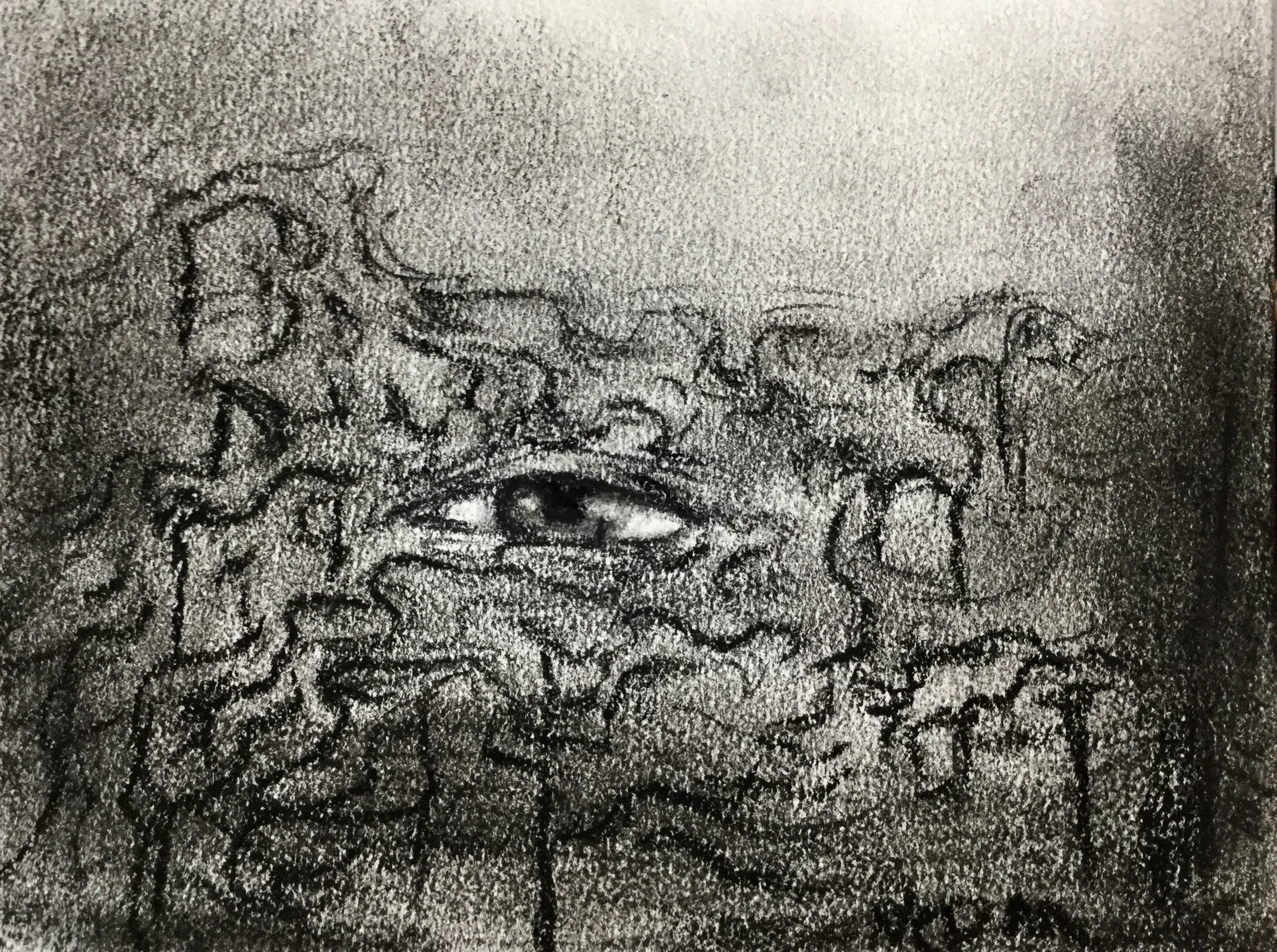 Charcoal drawing of an eye with a swirling dark background