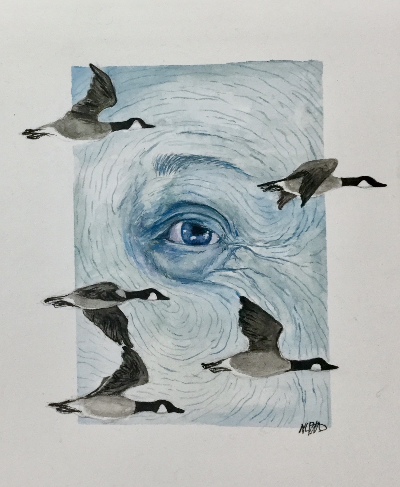 Watercolor and gouache painting of Mary Oliver's eye painted into the sky with geese flying in front of it.
