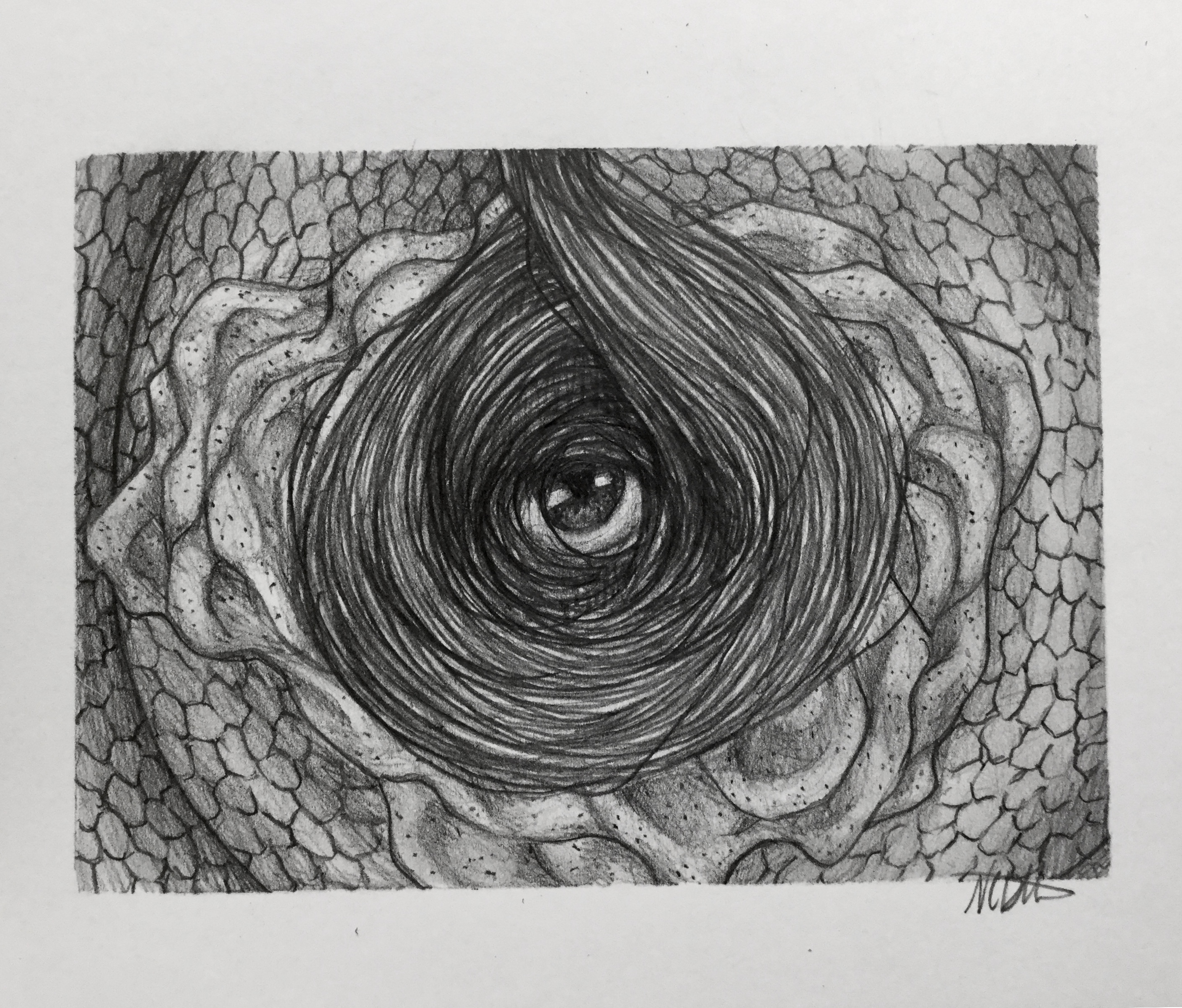 An eye covered in a pile of hair on top of a loop of snake