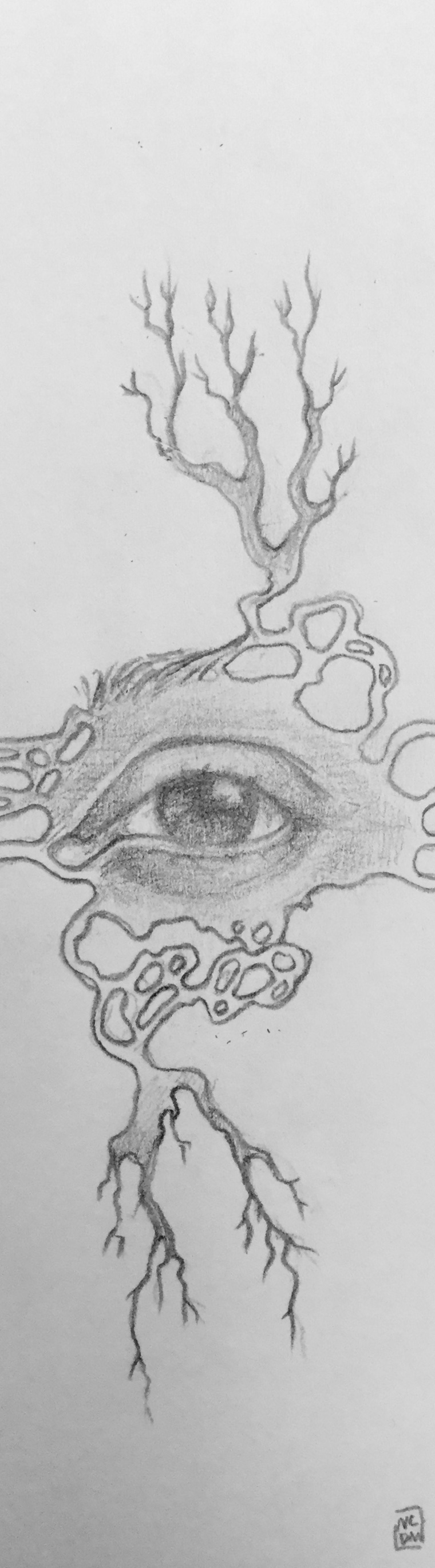 Small graphite illustration of an eye with the skin surrounding it breaking into shapes ans turning into roots