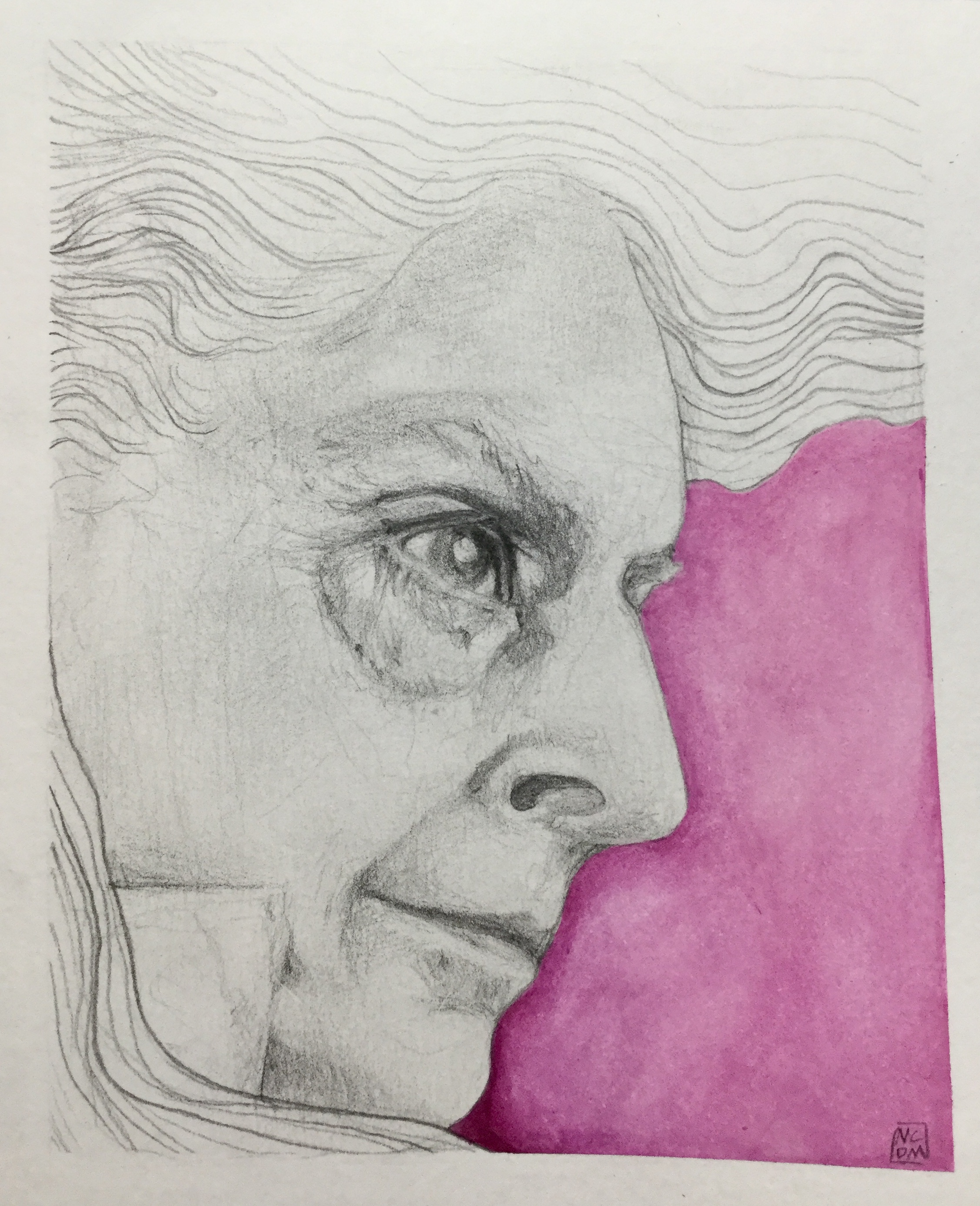 Graphite drawing of an older person's profile with white hair floating upward and a pink background