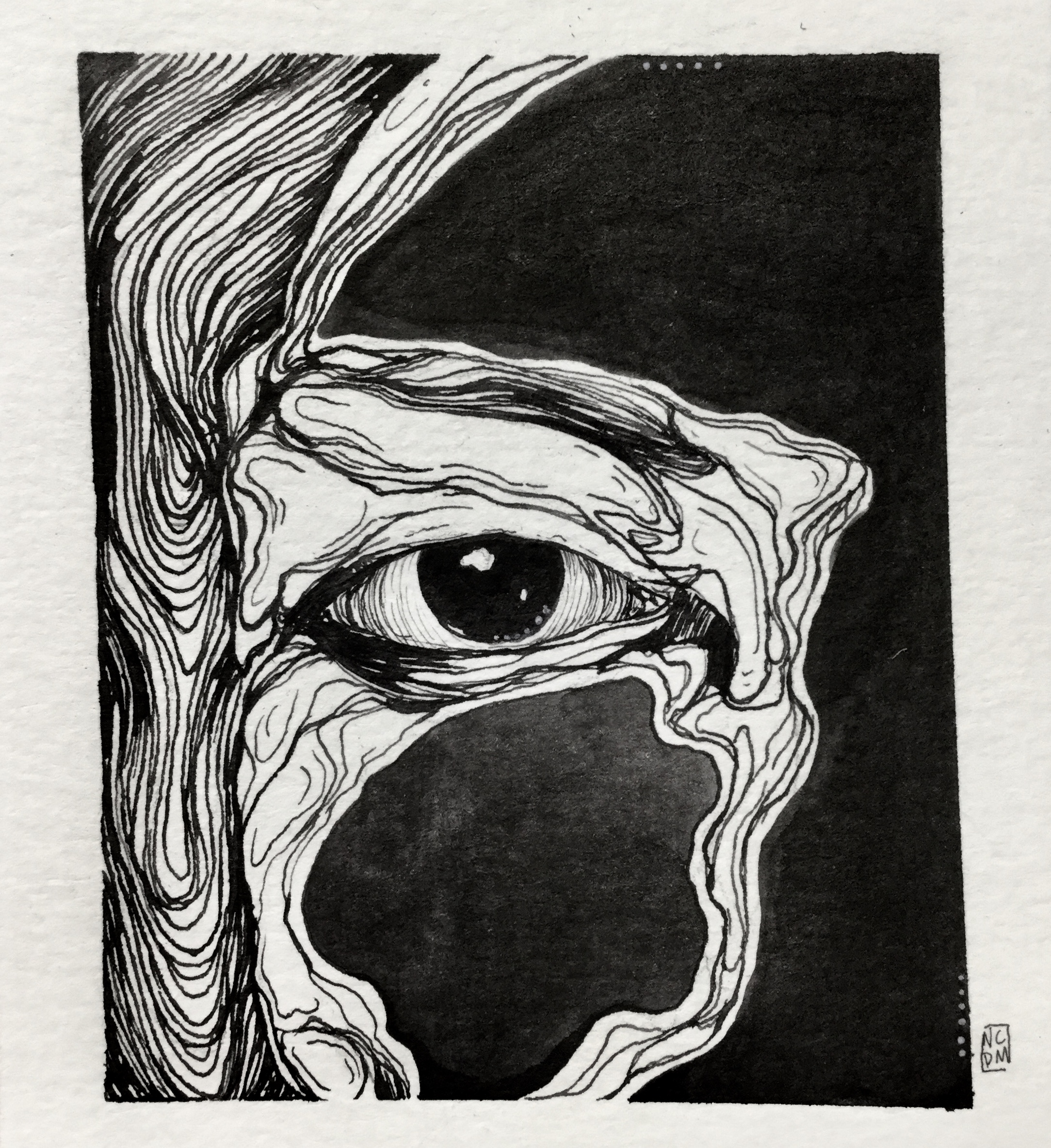 Ink illustration of an eye looking at you, the planes of the face are in full black ink