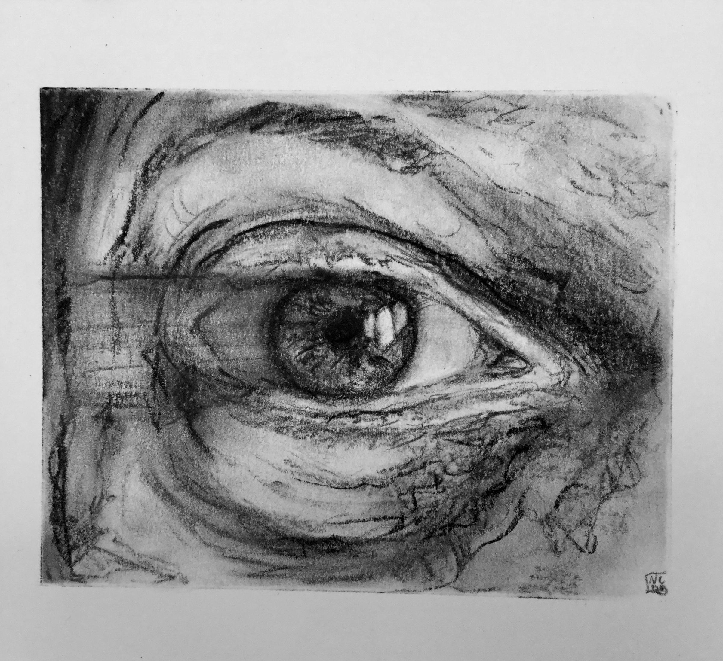 Charcoal illustration of an eye wit the iris smudged to the left